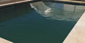 eliminar las algas de la piscina