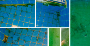algas-verdes-piscina-de-agua-salada